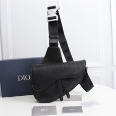 Christian Dior Waist Chest Packs